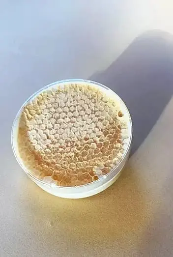 Honey with Comb