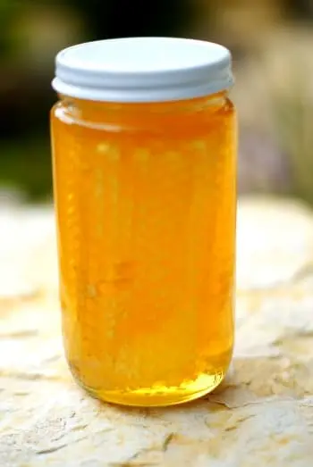 Raw honeycomb in jar from Chicago local apiary